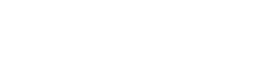 Digital Reflection 